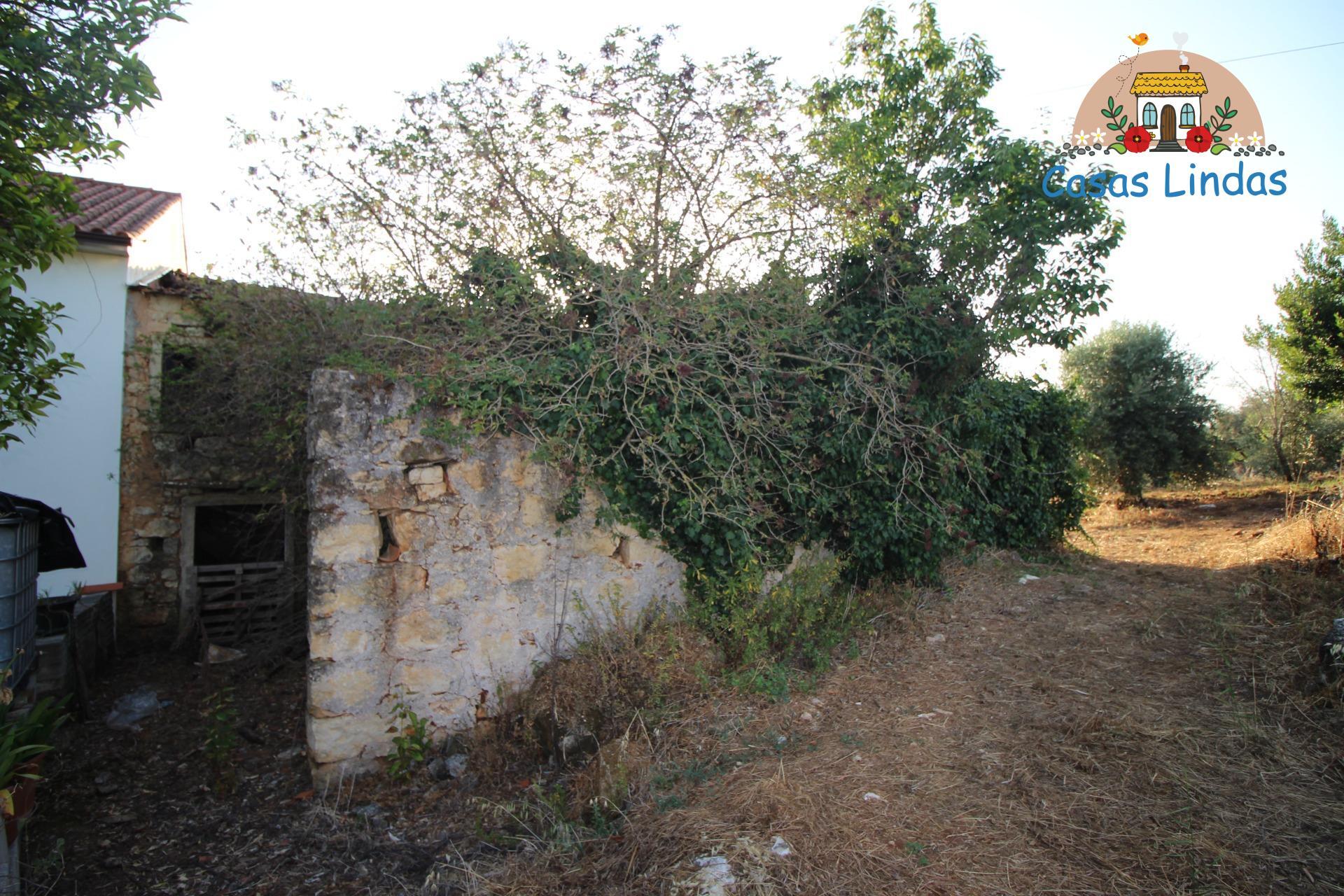 Santarém